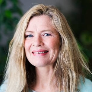 Blackout Protocol Survival System Reviews